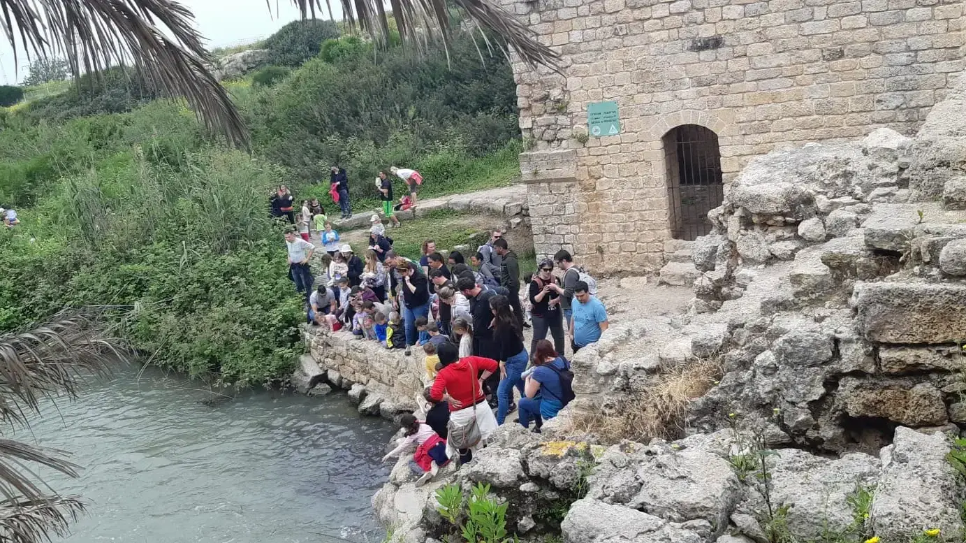נחל תנינים, 6 באפריל 2019