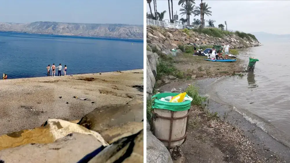 מפוצלת טבריה מפוצלת טבריה