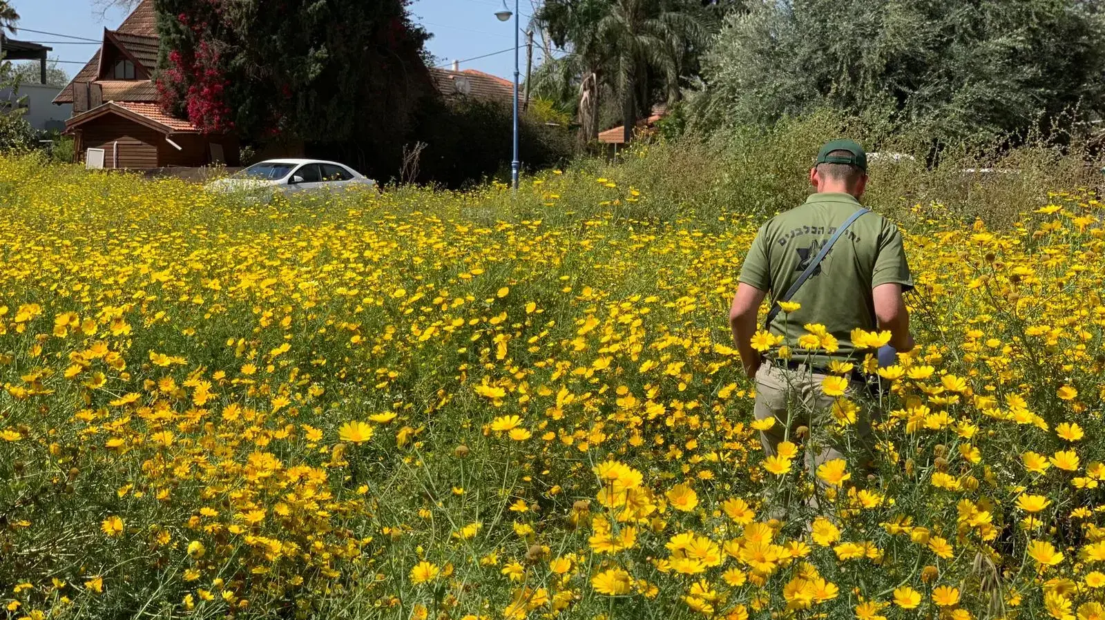 חיפושים אחר נעדרת מפרדס חנה 13 באפריל 2019 חיפושים אחר נעדרת מפרדס חנה 13 באפריל 2019