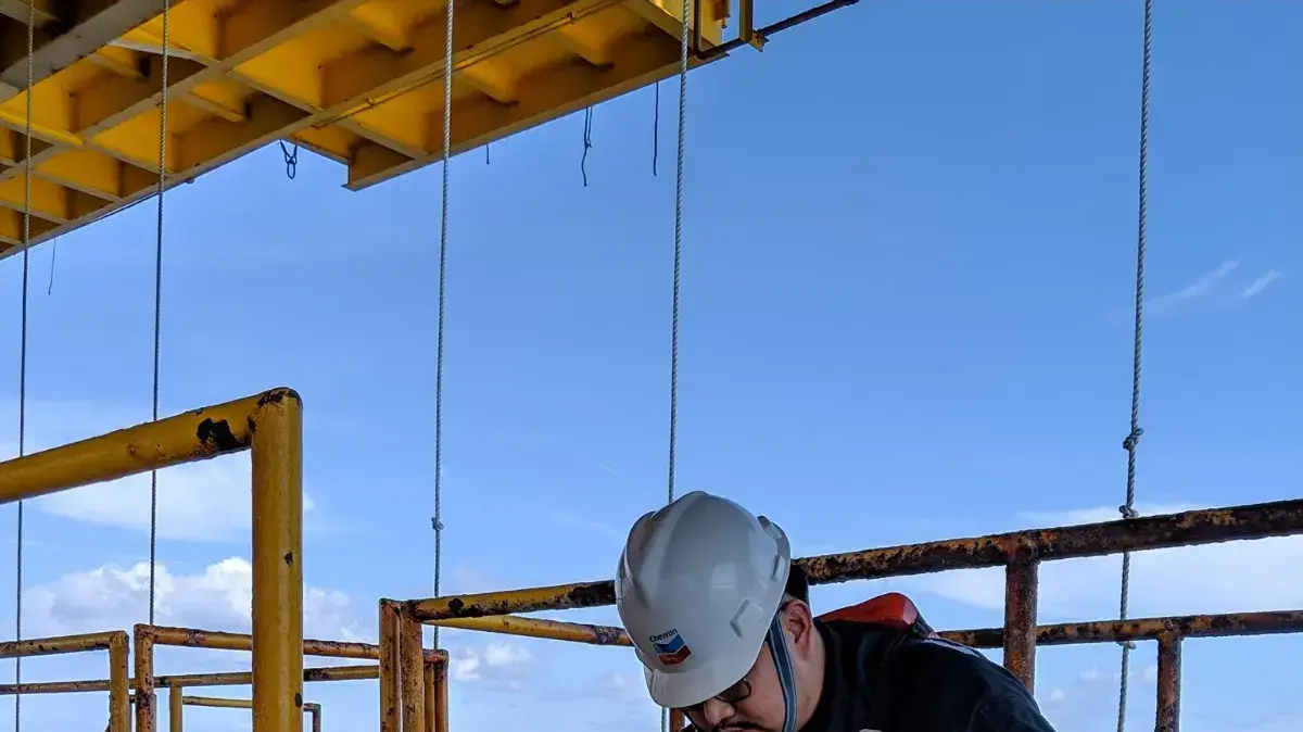 כלב תועה שחולץ לחופי תאילנד, 12 באפריל 2019 כלב תועה שחולץ לחופי תאילנד, 12 באפריל 2019
