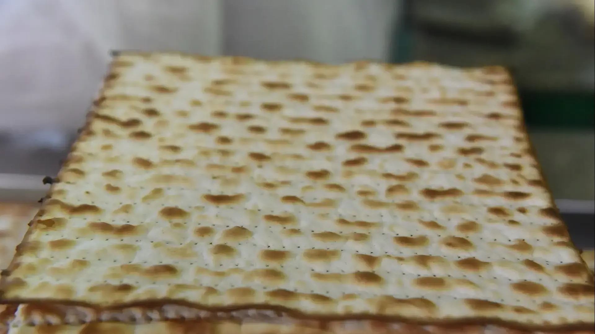 מצות אביב, בני ברק, 16 באפריל 2019 מצות אביב, בני ברק, 16 באפריל 2019