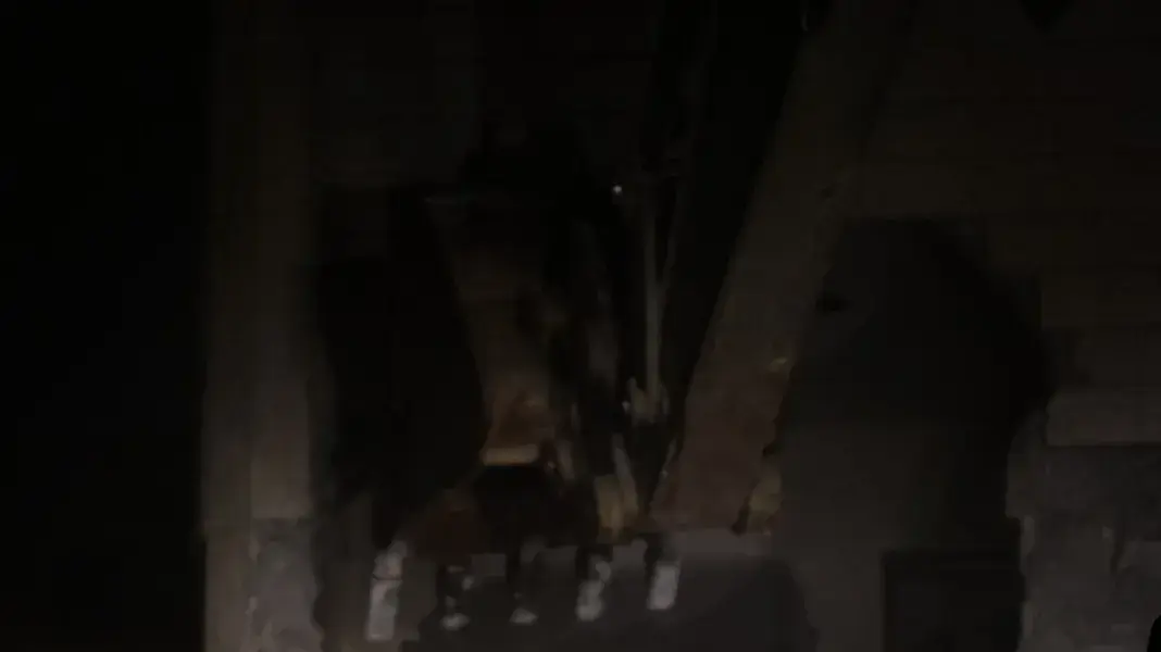 צה"ל הרס את בית המחבל שרצח את אורי אנסבכר 19 באפריל 2019 צה"ל הרס את בית המחבל שרצח את אורי אנסבכר 19 באפריל 2019