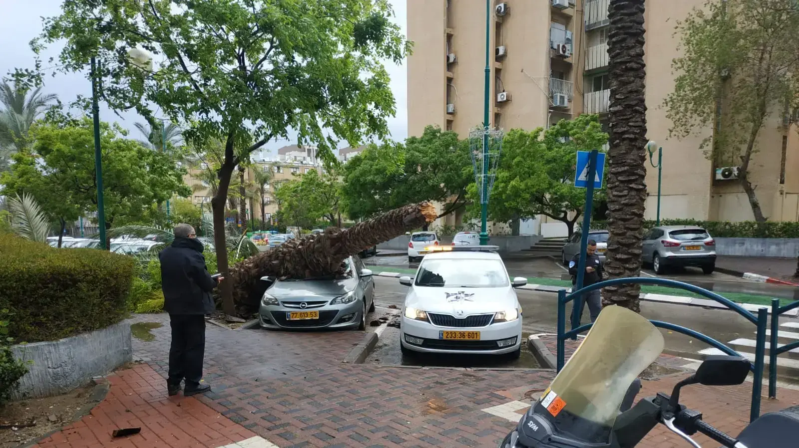קריסת עץ בעקבות הגשם והרוחות העזים בחדרה - 21 אפריל 2019 קריסת עץ בעקבות הגשם והרוחות העזים בחדרה - 21 אפריל 2019