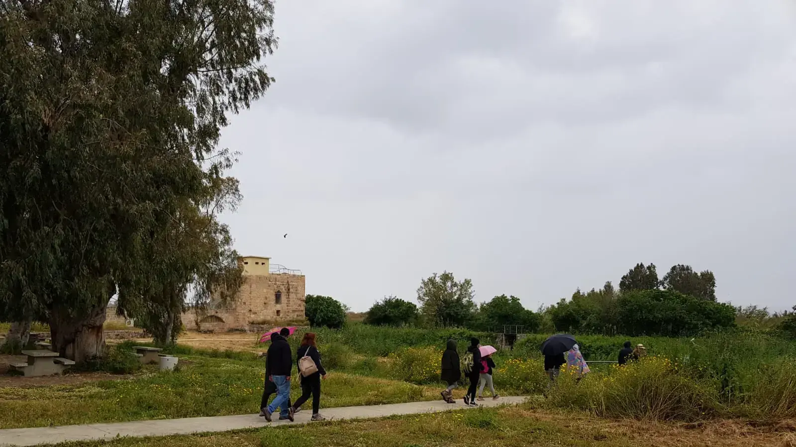 עין אפק. מטיילים בגשם, 22 אפריל 2019