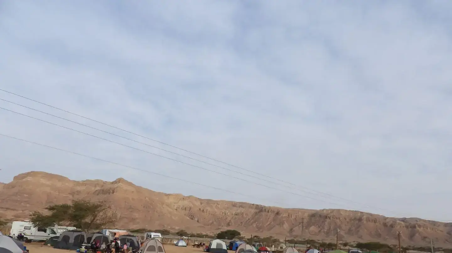 חניון לילה חי בר יטבתה., 23 באפריל 2019 חניון לילה חי בר יטבתה., 23 באפריל 2019