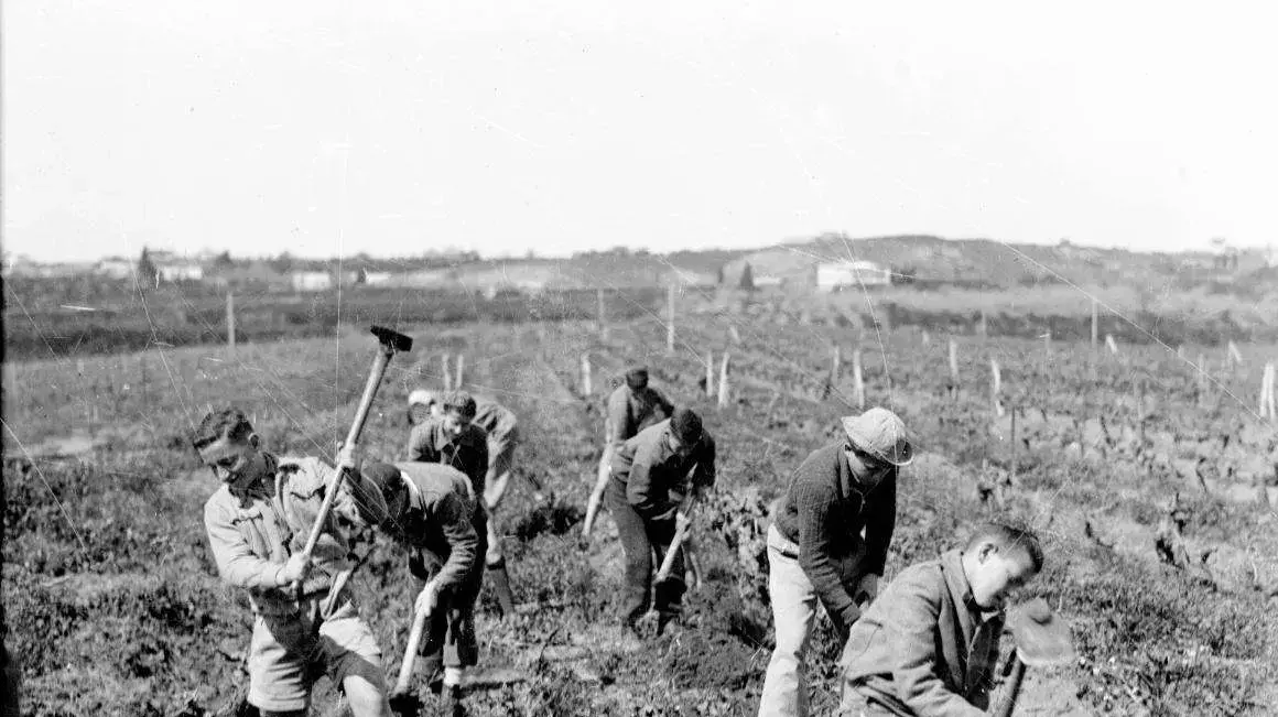 ילדי טהראן במקווה ישראל - 1943 ילדי טהראן במקווה ישראל - 1943