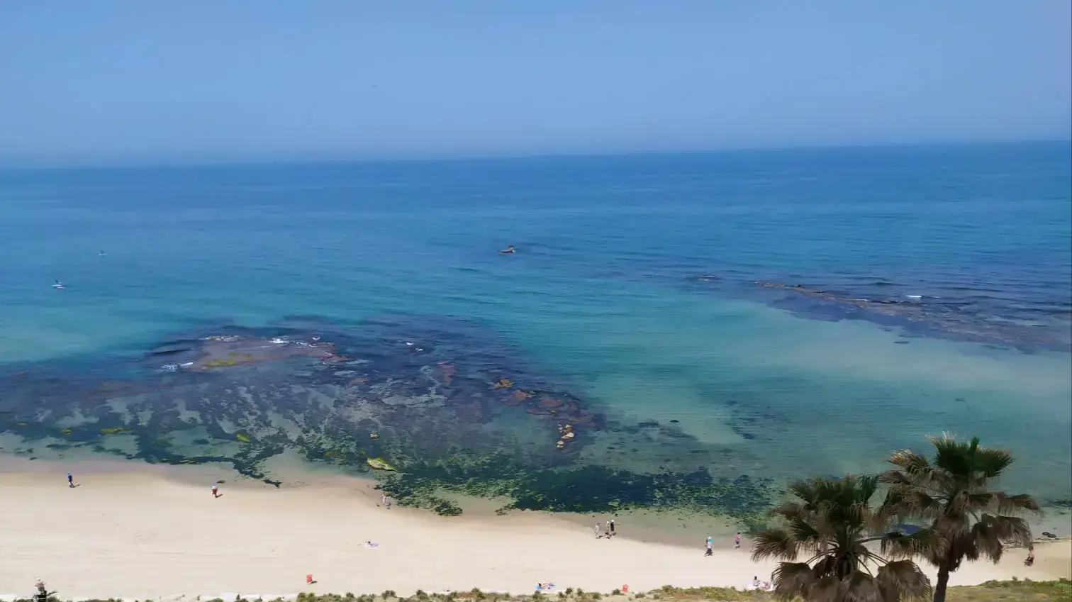 חוף בת ים חג פסח השני חוף בת ים חג פסח השני