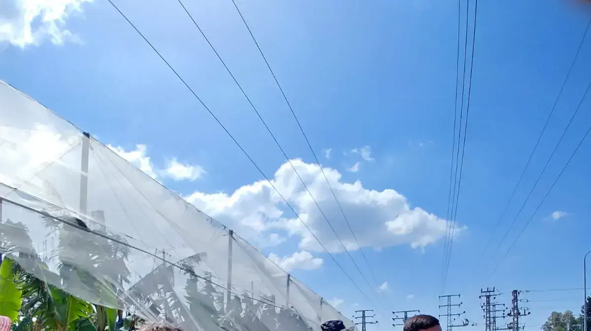 פעילות בתיירות כפר מסריק "סודות הפלא הקיבוצי" חידות ומדימות בקיבוץ
פעילות בתיירות כפר מסריק "סודות הפלא הקיבוצי" חידות ומדימות בקיבוץ