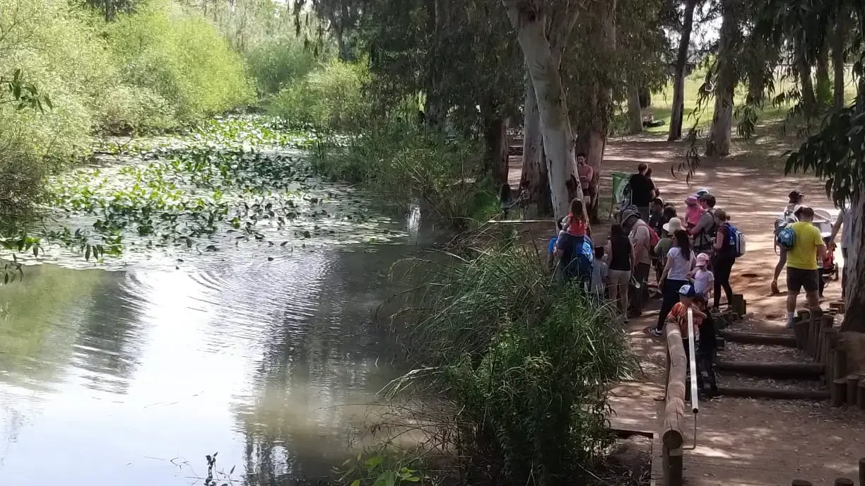 מצוק הצינים בנגב, אפריל 2019 מצוק הצינים בנגב, אפריל 2019
