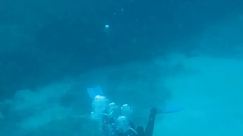 צלילות מודרכות לשמורות הטבע בחופי הגליל המערבי, במועדון פוצקר נהריה צלילות מודרכות לשמורות הטבע בחופי הגליל המערבי, במועדון פוצקר נהריה