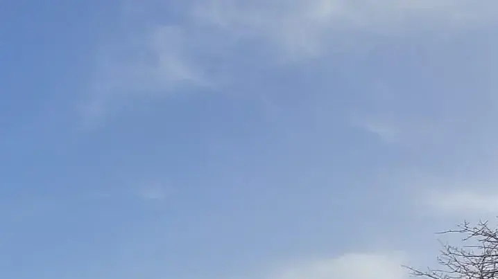 קמפיין "ניצחנו" של ניצולי השואה בראשון לציון, 1 במאי 2019 קמפיין "ניצחנו" של ניצולי השואה בראשון לציון, 1 במאי 2019