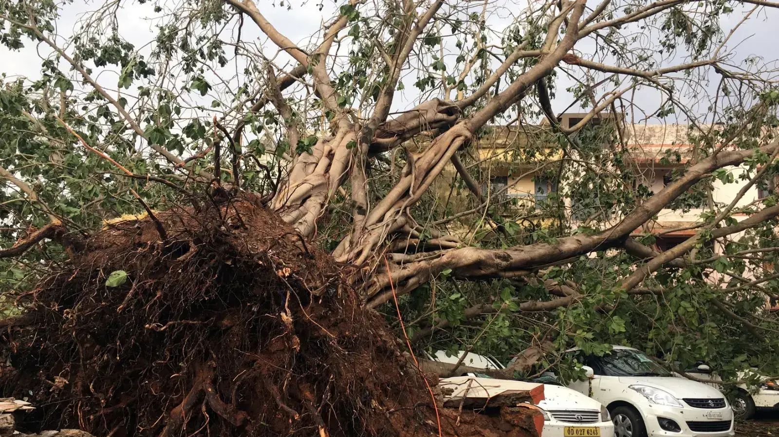 ציקלון פאני מכה במדינת אודישה, הודו, מאי 2019