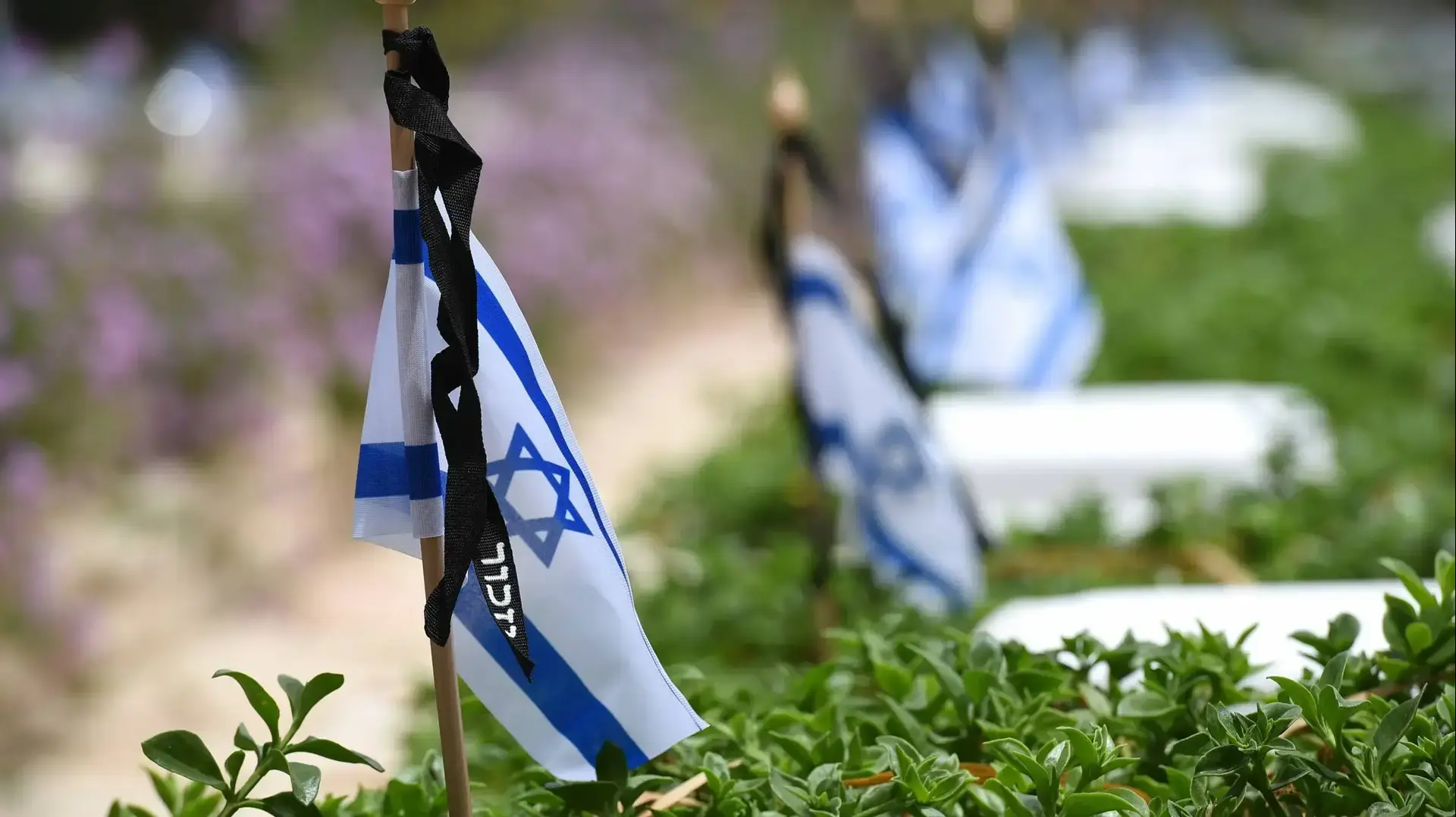 קרית שאול-לקראת יום הזכרון לחללי צה"ל, הכנות בבית עלמין
בקרית שאול ובנחלת יצחק, 7 במאי 2019 קרית שאול-לקראת יום הזכרון לחללי צה"ל, הכנות בבית עלמין
בקרית שאול ובנחלת יצחק, 7 במאי 2019