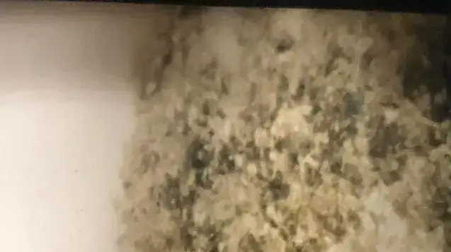 אביו של אמיר סגייר, מודיע דרוזי למשפחות חללי צה"ל, אביו של אמיר סגייר, מודיע דרוזי למשפחות חללי צה"ל,