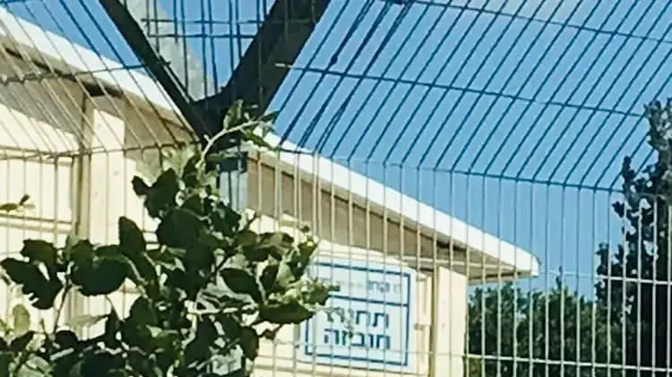 נכבה נכבה