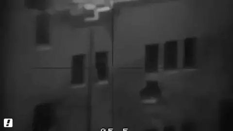 חיצונית פרא גיף
