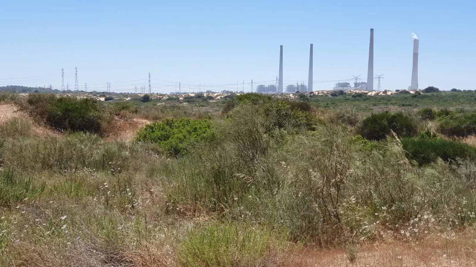 החולות באור עקיבא בה נמצאה גופתה של רחל הלר, מאי 2019 החולות באור עקיבא בה נמצאה גופתה של רחל הלר, מאי 2019