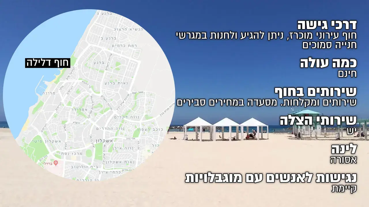 דלילה(מעודכן) דלילה(מעודכן)
