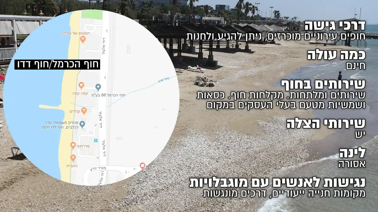 הכרמל_דדו (מעודכן) הכרמל_דדו (מעודכן)