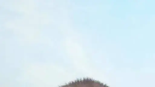 סרגיי סמיונוב ההרוג מקריסת המנוף , מאי 2019
