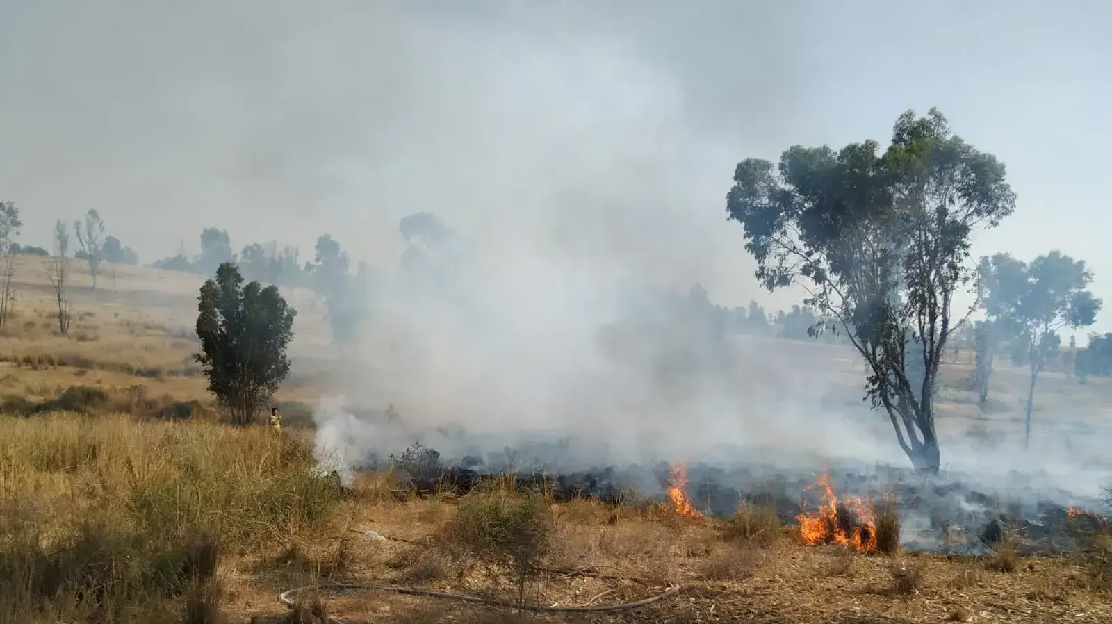 שריפה בעוטף עזה 22 במאי 2019 שריפה בעוטף עזה 22 במאי 2019