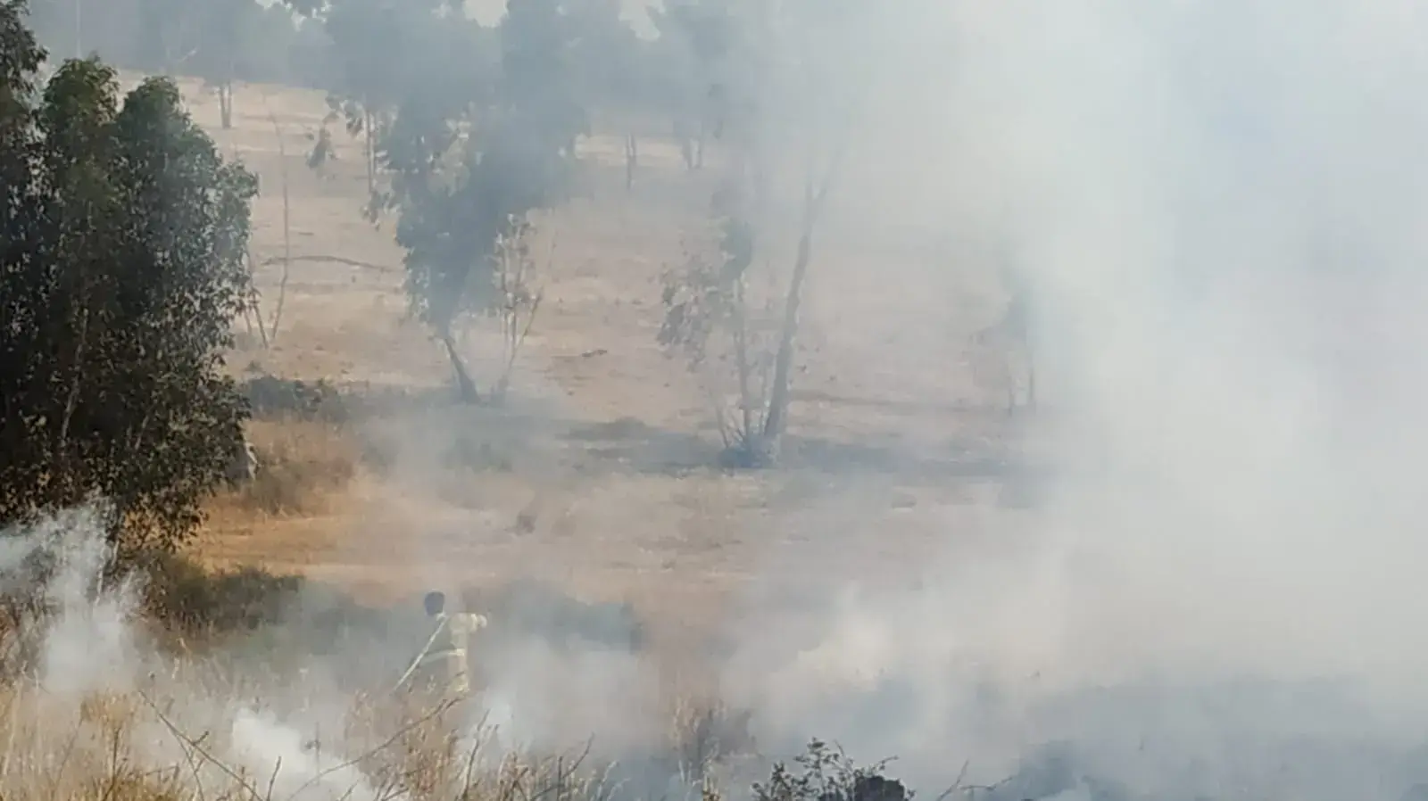 שריפה בעוטף עזה 22 במאי 2019 שריפה בעוטף עזה 22 במאי 2019
