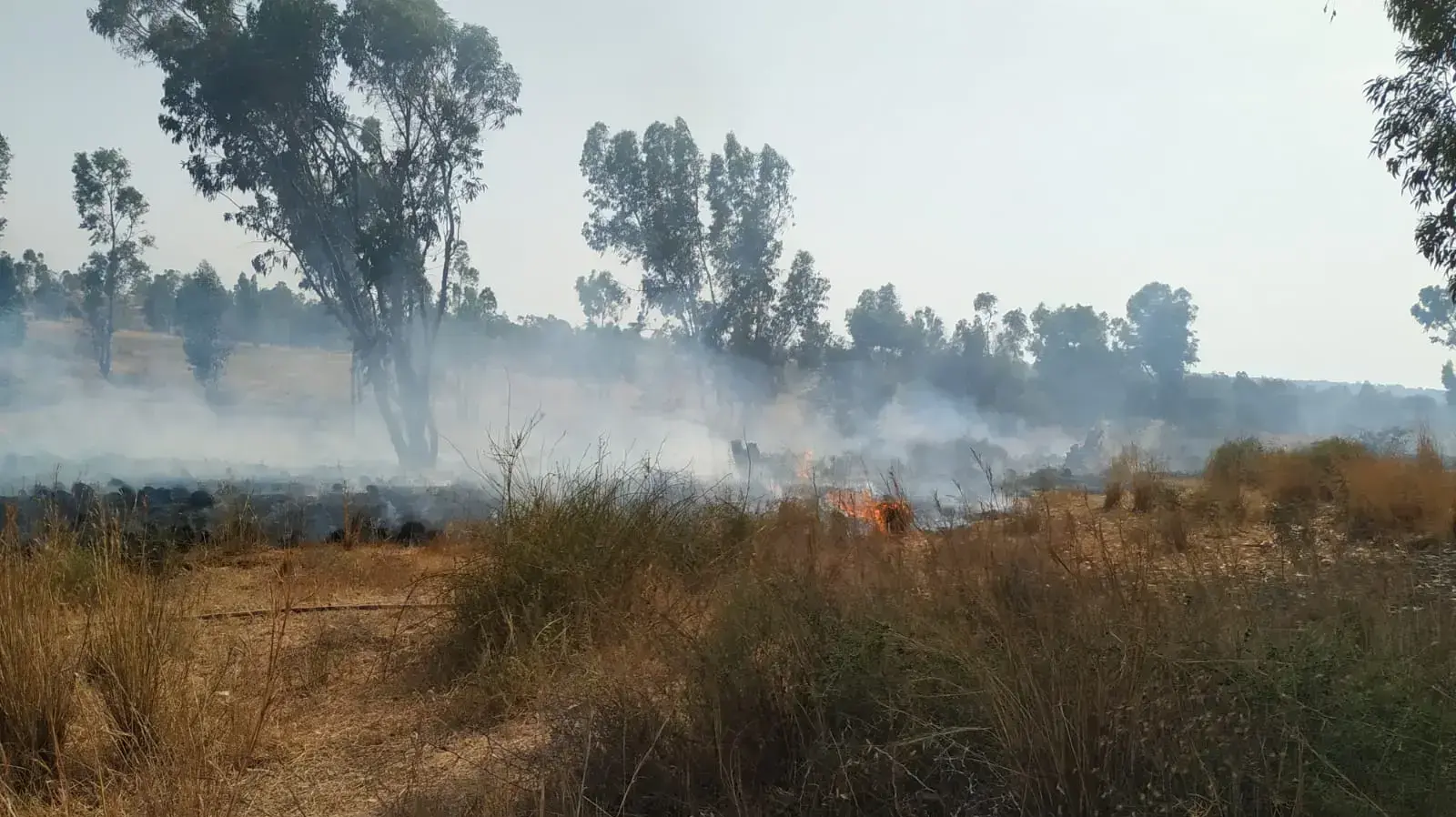 שריפה בעוטף עזה 22 במאי 2019 שריפה בעוטף עזה 22 במאי 2019