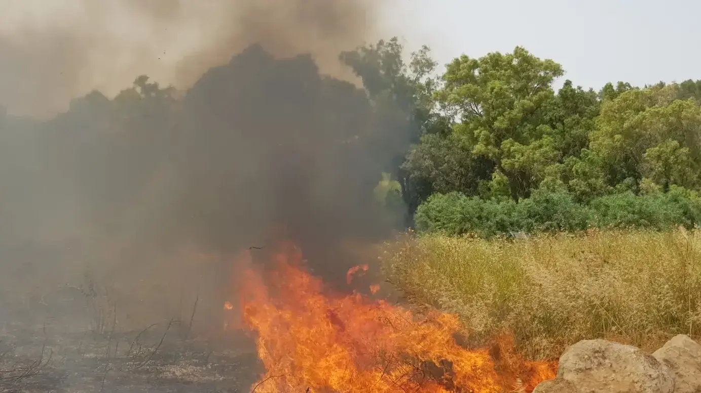 שריפה בכפר אוריה 23 במאי 2019
שריפה בכפר אוריה 23 במאי 2019