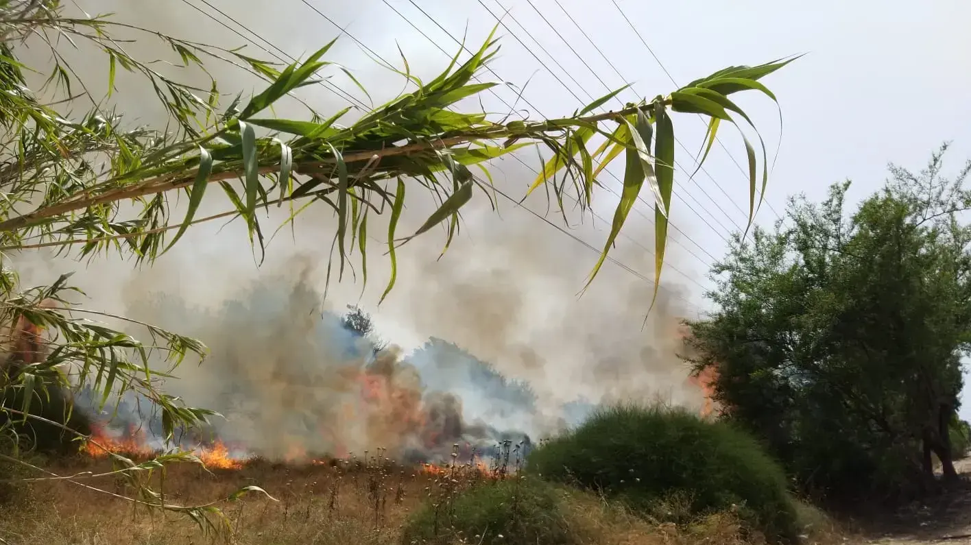 שריפה במועצה אזורית חוף אשקלון
שריפה במועצה אזורית חוף אשקלון