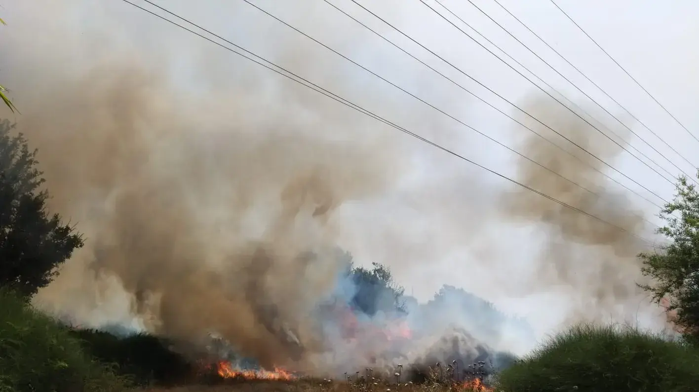 שריפה במועצה אזורית חוף אשקלון
שריפה במועצה אזורית חוף אשקלון
