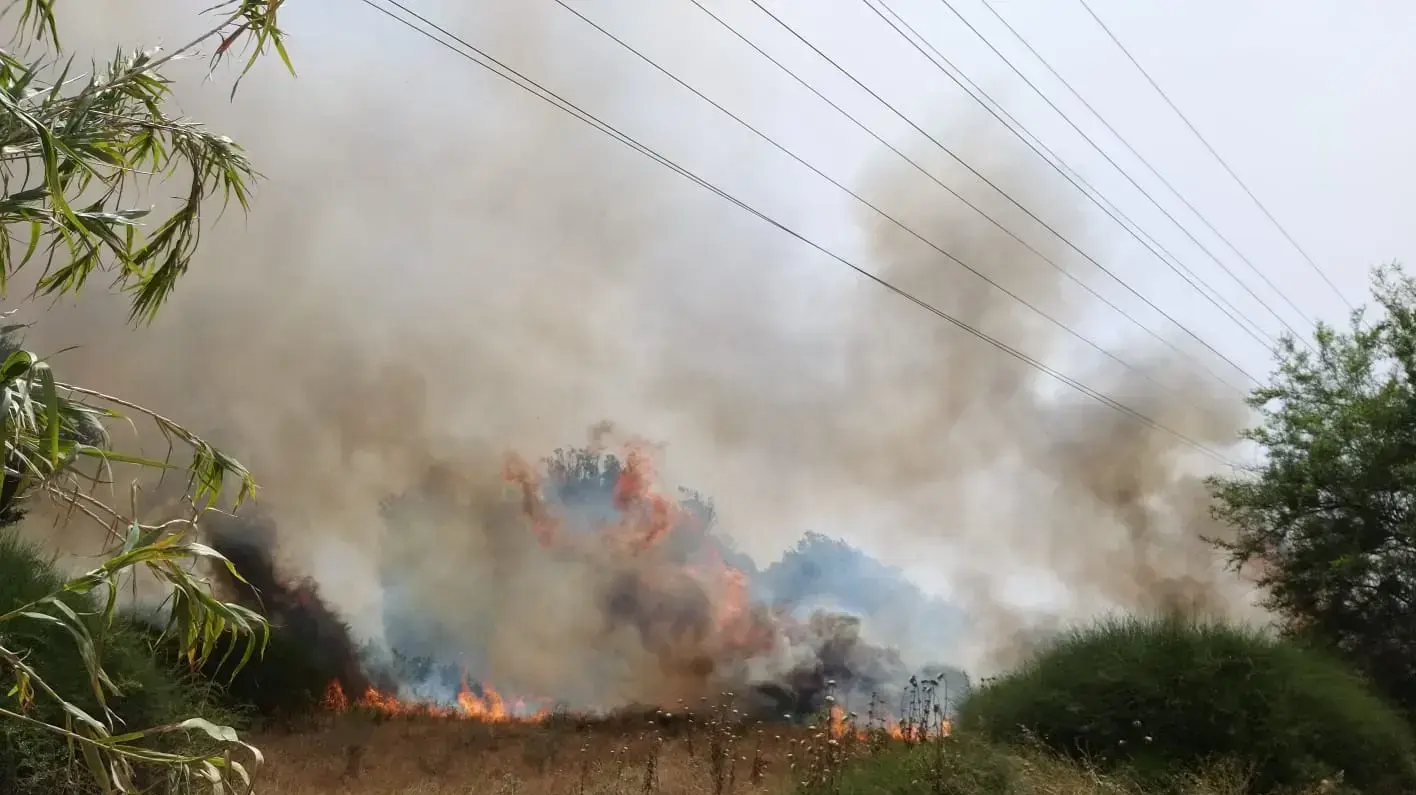 שריפה במועצה אזורית חוף אשקלון
שריפה במועצה אזורית חוף אשקלון