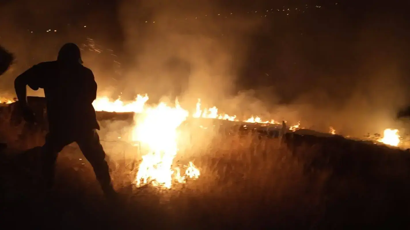 שריפה בגבעת סלעית 23 במאי 2019 שריפה בגבעת סלעית 23 במאי 2019