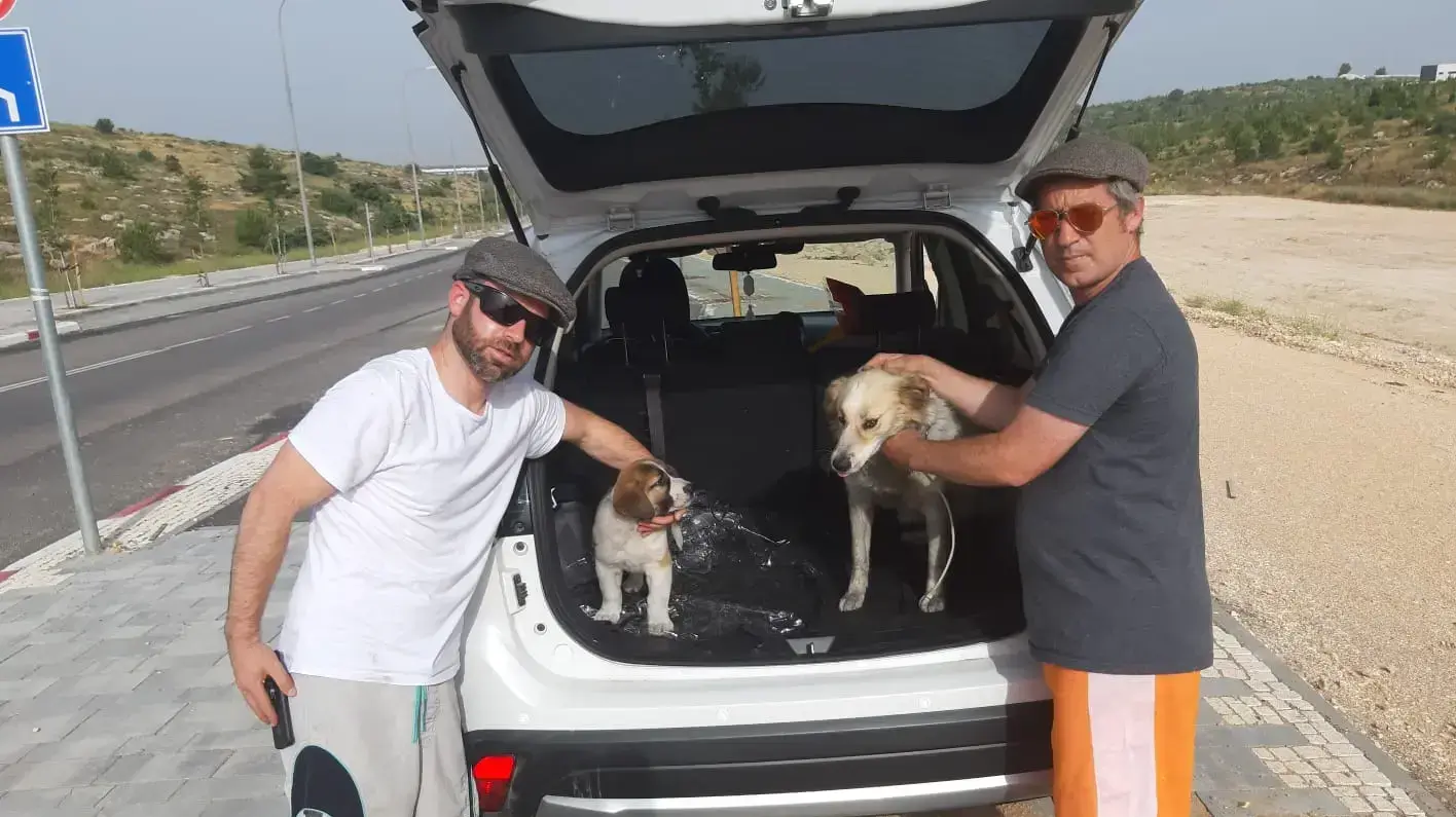 הכלבה פפסי שהושבה לבעליה יוסי ושניאור ממבוא מודיעים - 24/5 הכלבה פפסי שהושבה לבעליה יוסי ושניאור ממבוא מודיעים - 24/5