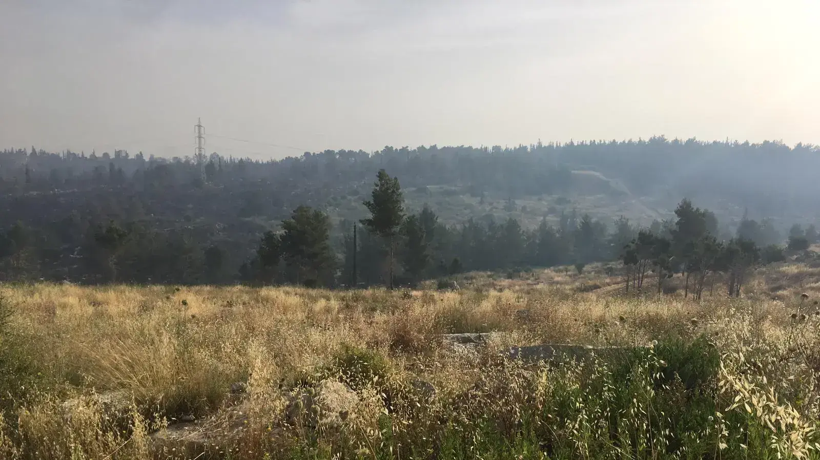 הנוף אל מבוא מודיעים - 24/5 הנוף אל מבוא מודיעים - 24/5
