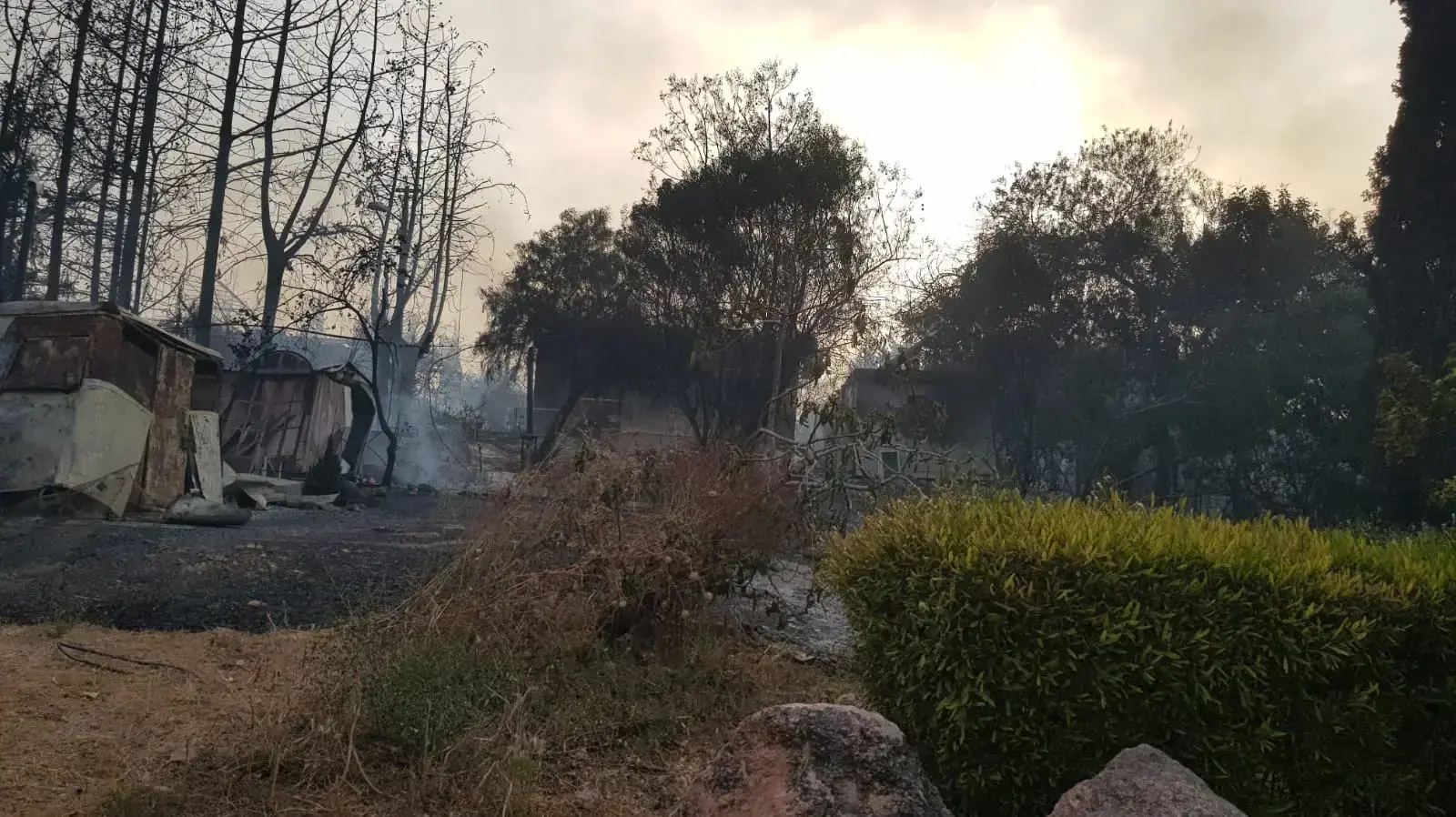 מבוא מודיעים - 24/5 מבוא מודיעים - 24/5