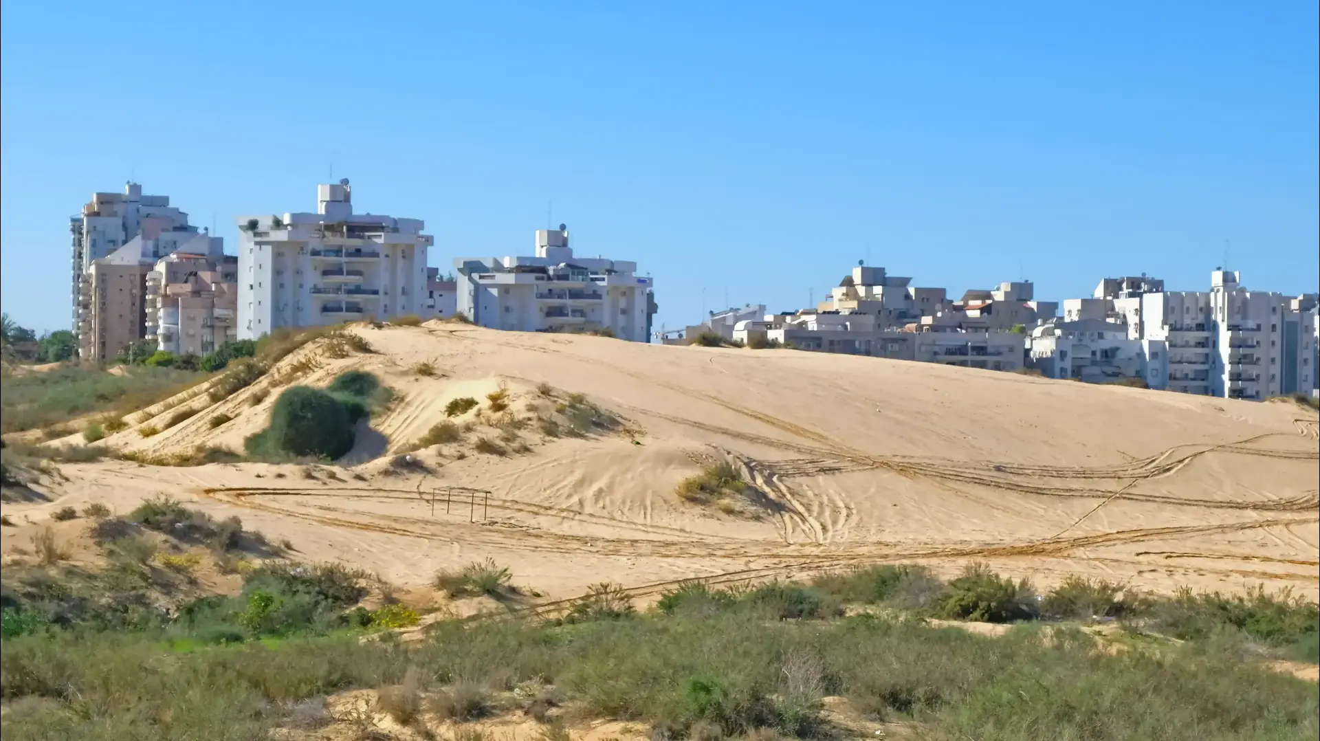 חולון חולון