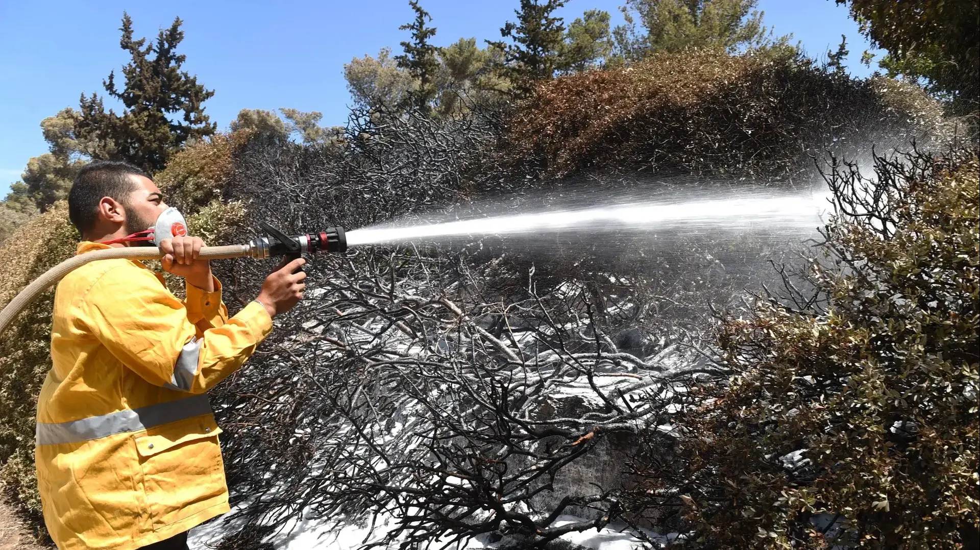 אתר הנצחה לזכר קדושי זגלמביה , יער בן שמן, 26 במאי 2019 אתר הנצחה לזכר קדושי זגלמביה , יער בן שמן, 26 במאי 2019