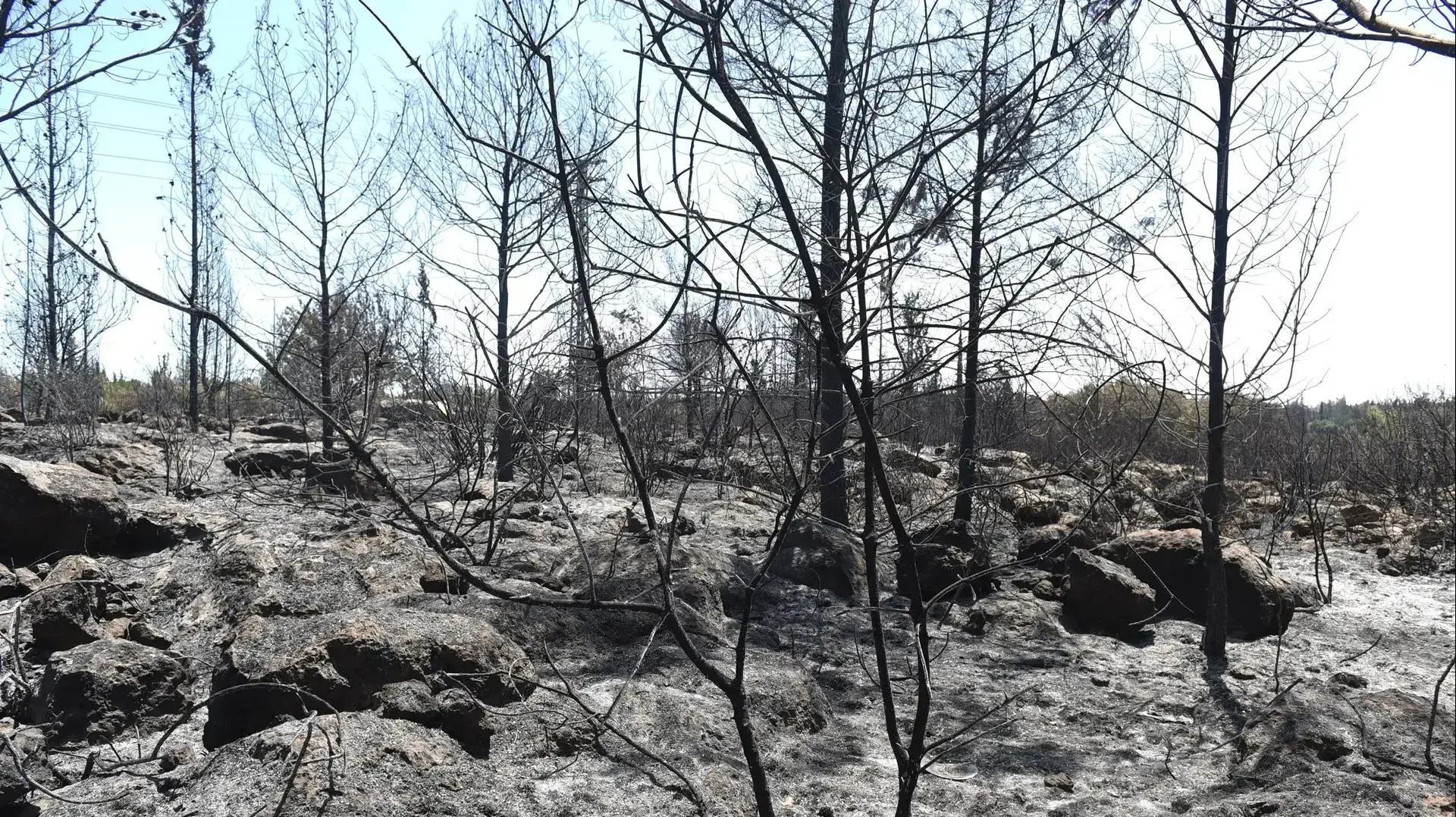 אתר הנצחה לזכר קדושי זגלמביה , יער בן שמן, 26 במאי 2019 אתר הנצחה לזכר קדושי זגלמביה , יער בן שמן, 26 במאי 2019