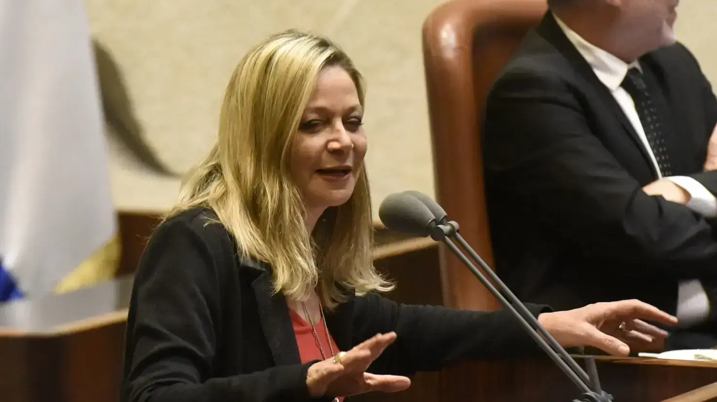 מיקי חיימוביץ' מליאת הכנסת, 29 במאי 2019 מיקי חיימוביץ' מליאת הכנסת, 29 במאי 2019
