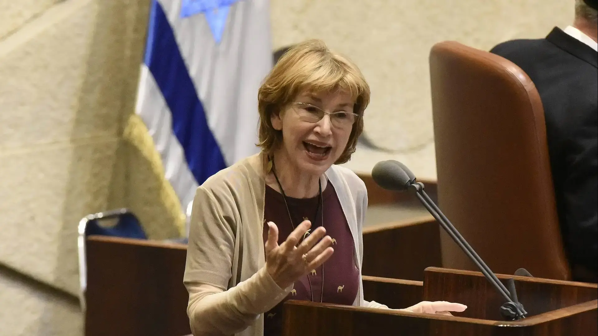 ח"כ יעל גרמן במליאת הכנסת , 29 במאי 2019