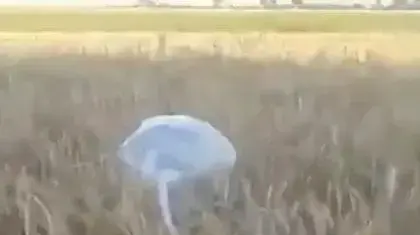 בלון תבערה ששיגרו כוחות של אסד לשטחים שבידי המורדים במחוז אידליב, סוריה, מאי 2019 בלון תבערה ששיגרו כוחות של אסד לשטחים שבידי המורדים במחוז אידליב, סוריה, מאי 2019