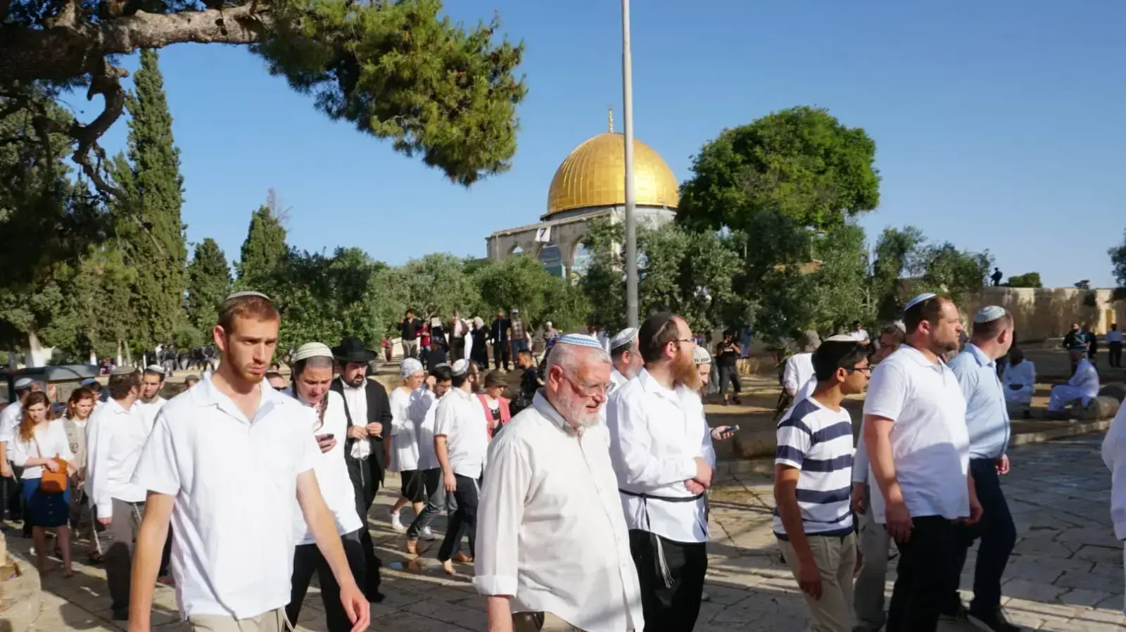 הפרות סדר בהר הבית לרגל יום ירושלים הפרות סדר בהר הבית לרגל יום ירושלים