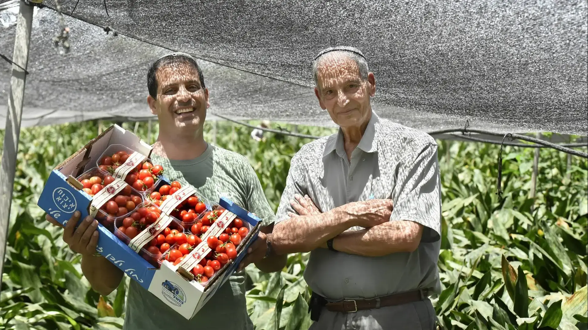 נחשון אמיתי ואביו- מגדלי עגבניות שרי מכפר מימוןן - דור שלישי ורביעי לחקלאות, 2 ביוני 2019 נחשון אמיתי ואביו- מגדלי עגבניות שרי מכפר מימוןן - דור שלישי ורביעי לחקלאות, 2 ביוני 2019