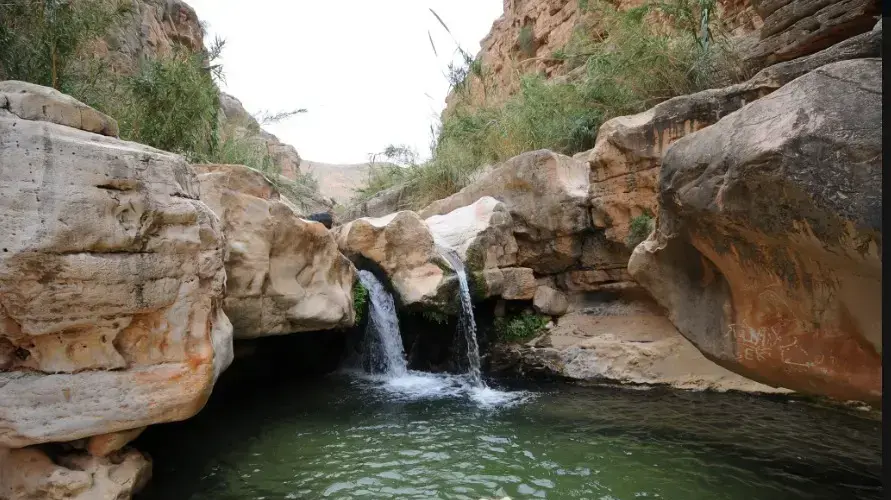ואדי קלט