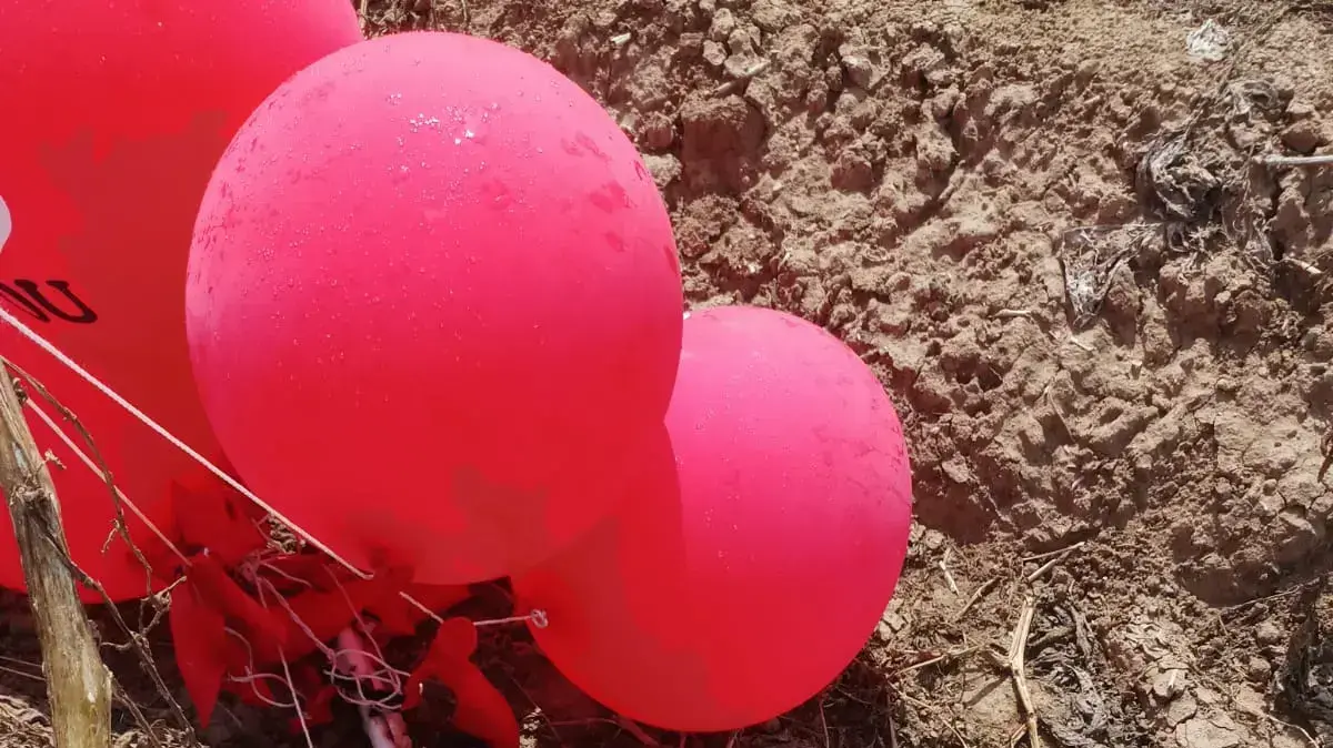 בלונים שאליהם חובר חפץ חשוב במועצה האזורית שער הנגב בלונים שאליהם חובר חפץ חשוב במועצה האזורית שער הנגב