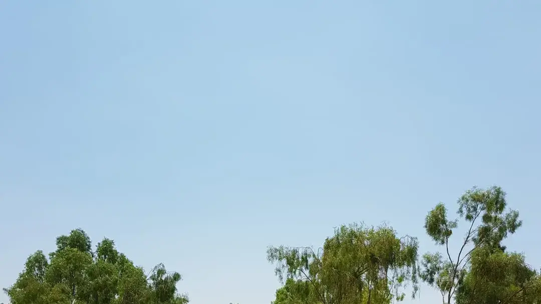 שלט ההפגנה של חלקאי הגליל והגולן "הכרה??? או עקירה???". 16 ביוני 2019 שלט ההפגנה של חלקאי הגליל והגולן "הכרה??? או עקירה???". 16 ביוני 2019