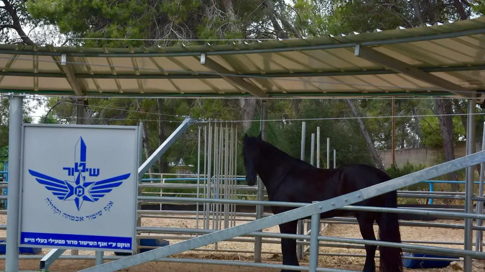 חדר הכושר הראשון לסוסי משטרה, יוני 2019 חדר הכושר הראשון לסוסי משטרה, יוני 2019