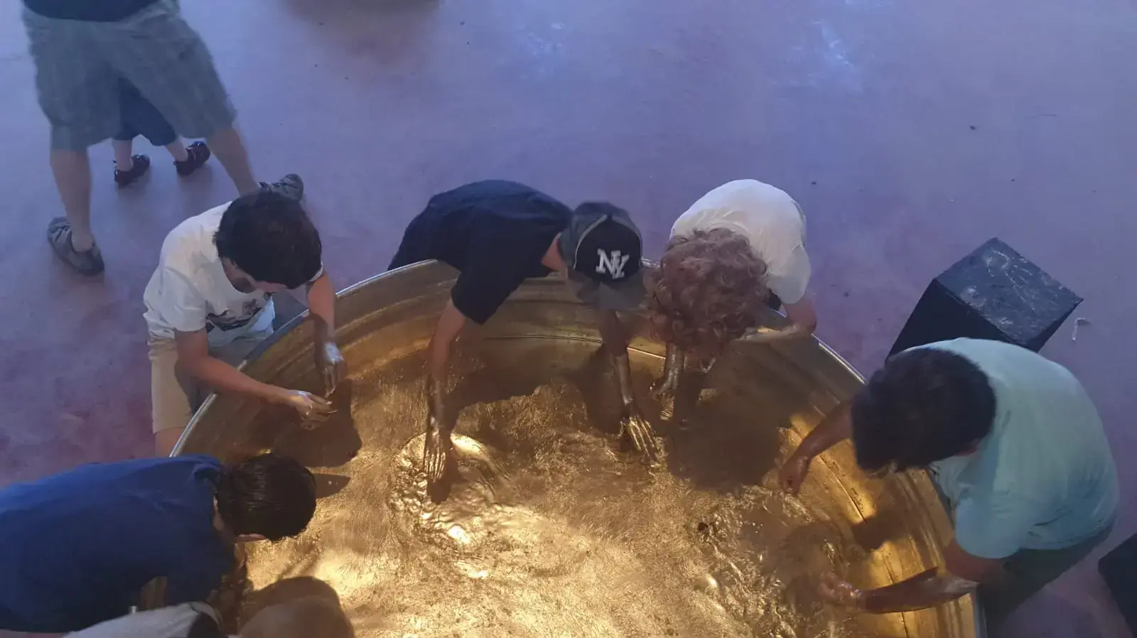 המוזיאון הנייד זומו בתערוכה בחצור הגלילית המוזיאון הנייד זומו בתערוכה בחצור הגלילית