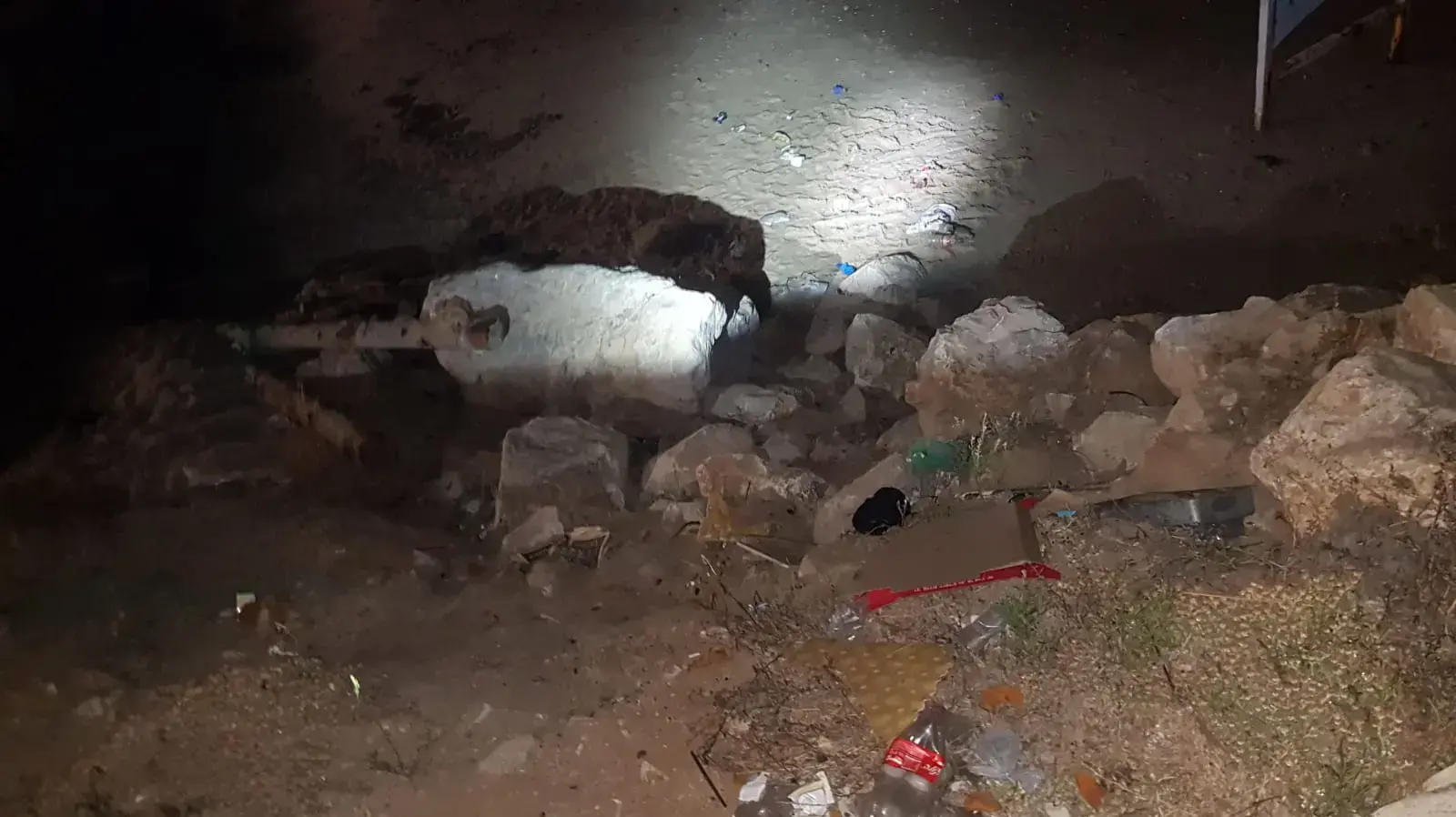 זירת מיקום נפילתו של הילד שהדרדר מצוק בחוף בבת ים 19 ביוני 2019
זירת מיקום נפילתו של הילד שהדרדר מצוק בחוף בבת ים 19 ביוני 2019
