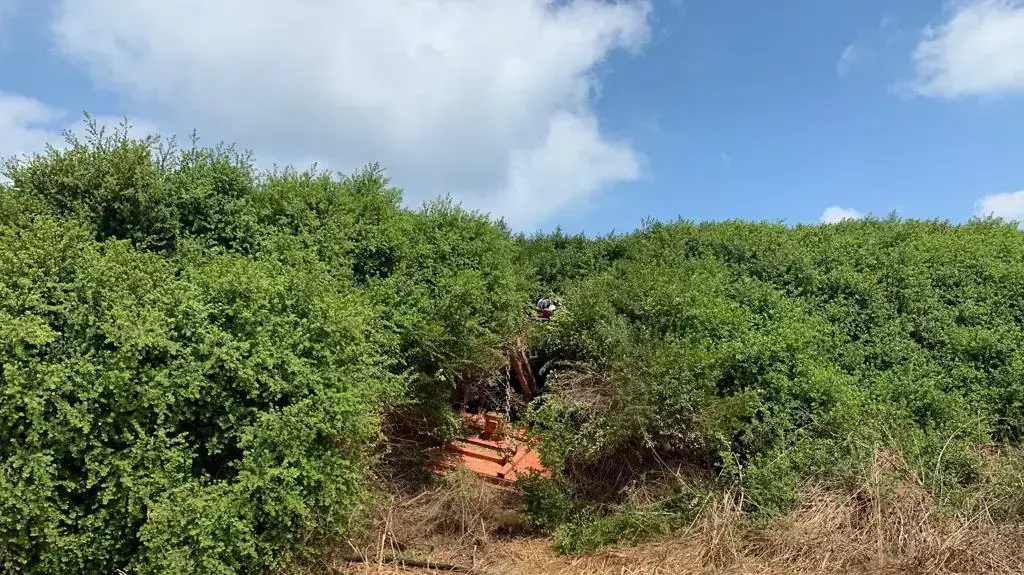 הרוג בתאונת הטרקטור בשפיים - 21/6 הרוג בתאונת הטרקטור בשפיים - 21/6